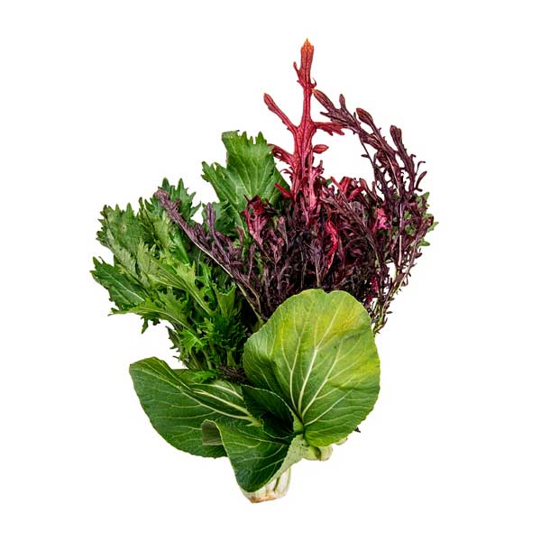 Lechuga Asiática