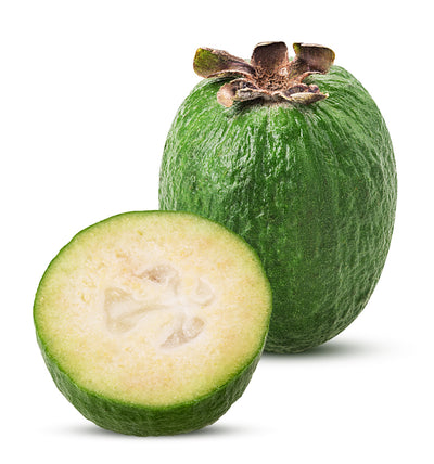 Feijoa