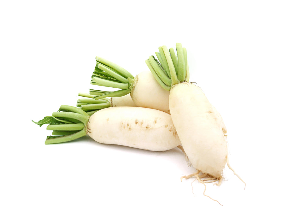 Rábano Daikon