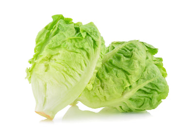 Cogollo de Lechuga