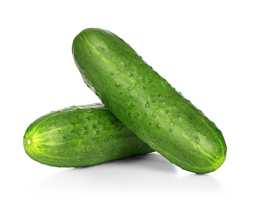 Pepino Cohombro