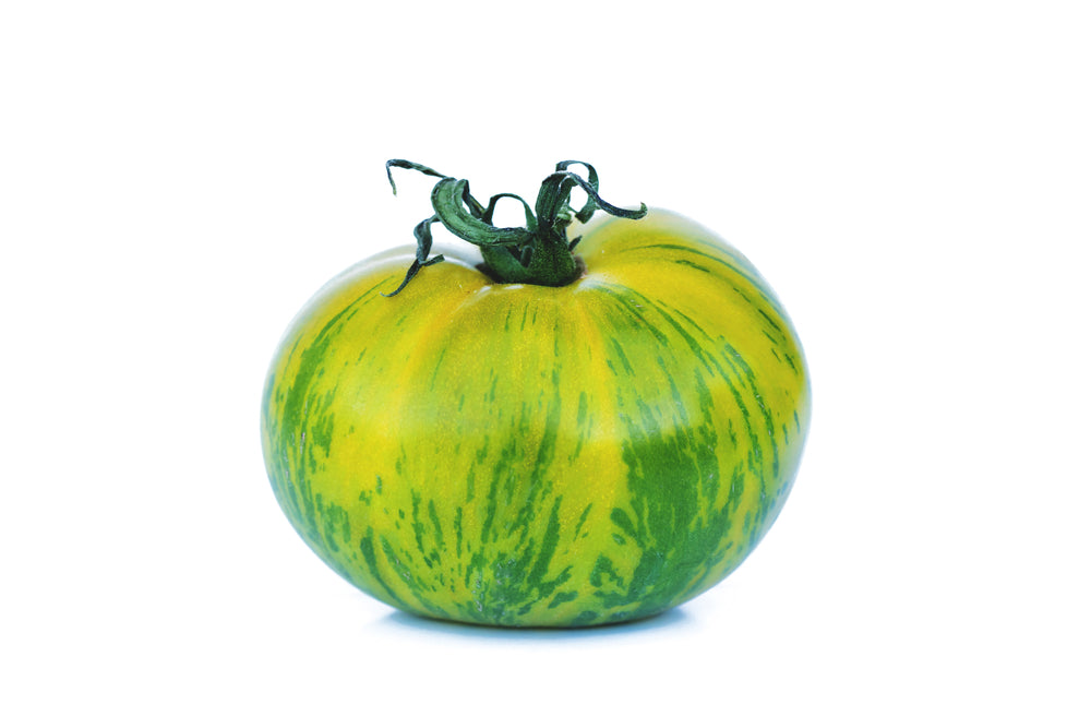 Tomate Zebra