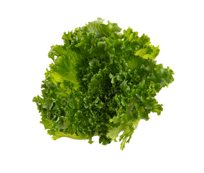 Lechuga Kale