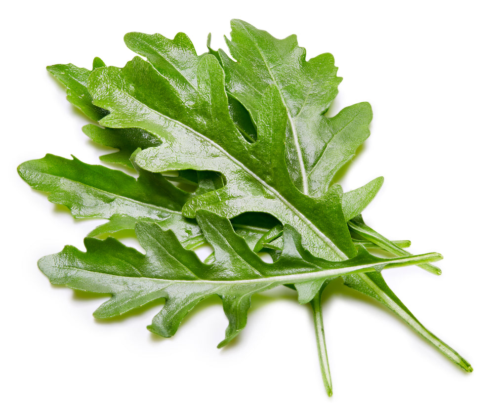 Lechuga Rúgula